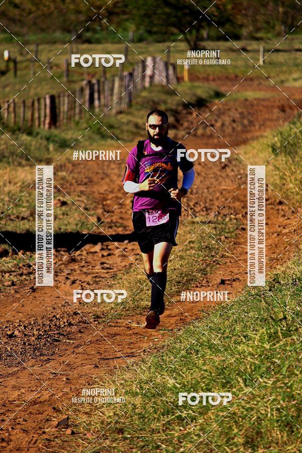 Buy your photos of the eventWolf Series - Botucatu on Fotop