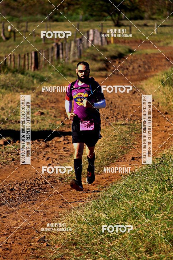 Buy your photos of the eventWolf Series - Botucatu on Fotop