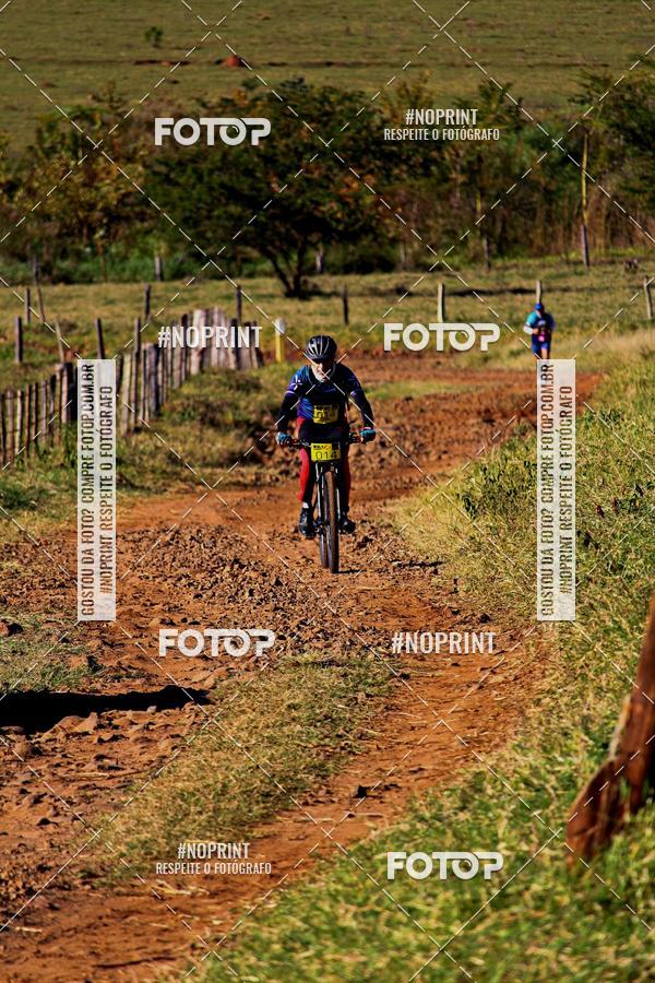 Buy your photos of the eventWolf Series - Botucatu on Fotop