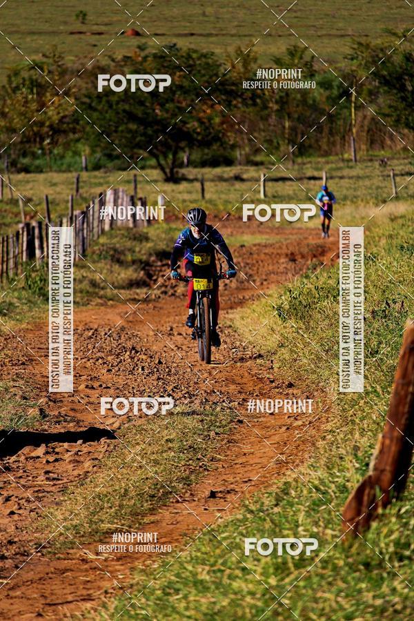 Buy your photos of the eventWolf Series - Botucatu on Fotop