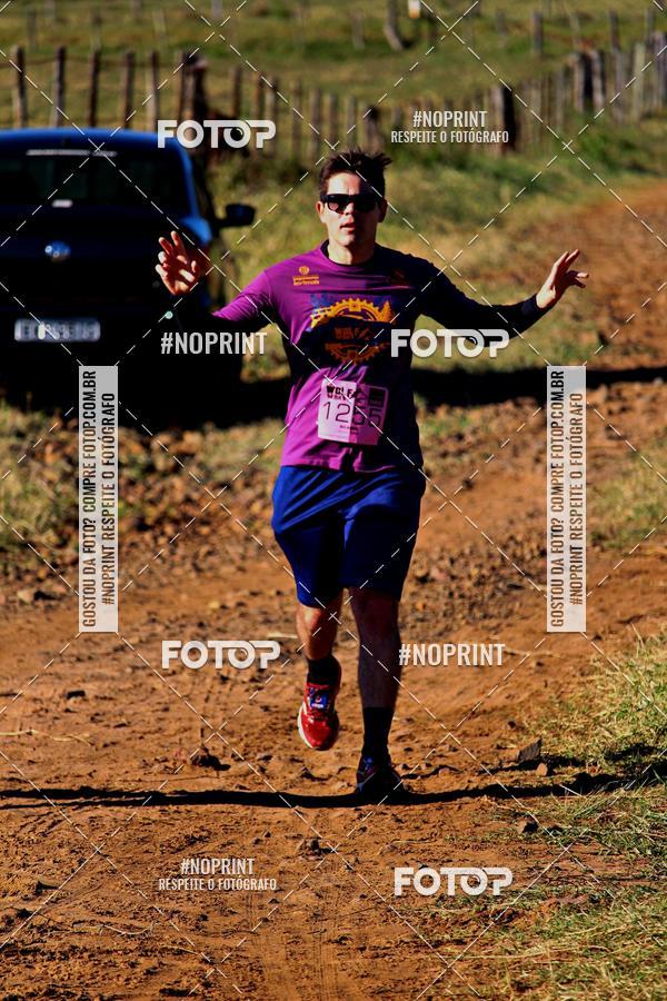 Buy your photos of the eventWolf Series - Botucatu on Fotop