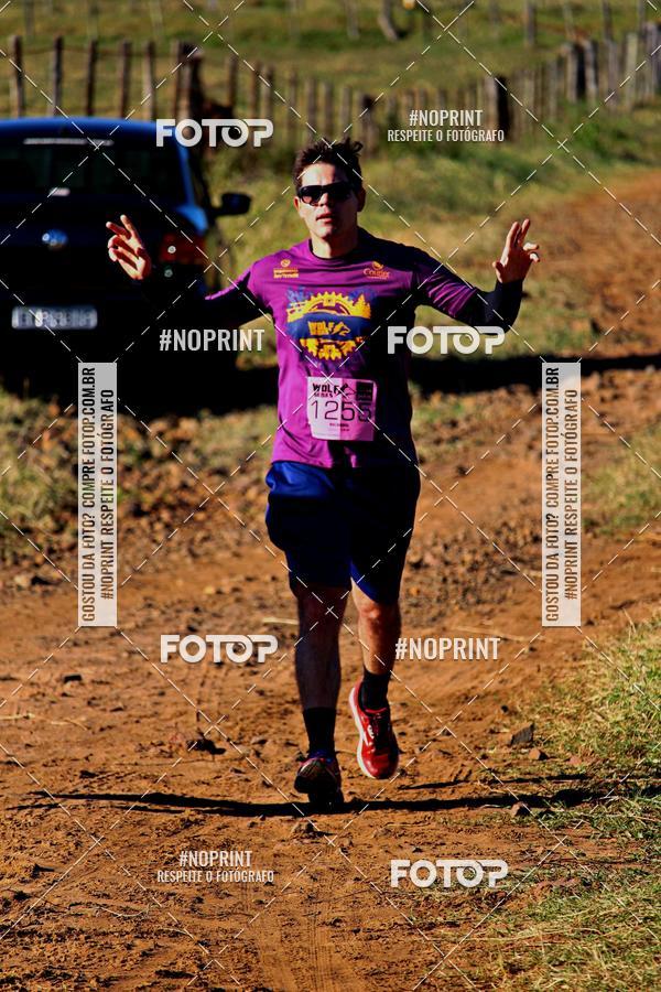 Buy your photos of the eventWolf Series - Botucatu on Fotop