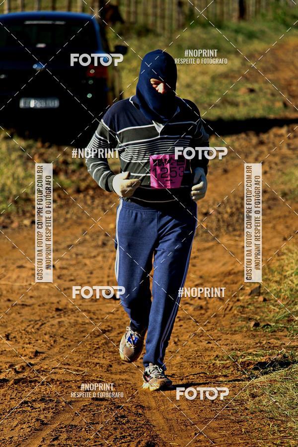 Buy your photos of the eventWolf Series - Botucatu on Fotop