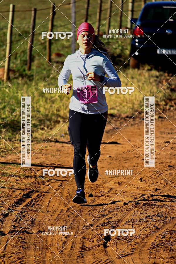 Buy your photos of the eventWolf Series - Botucatu on Fotop