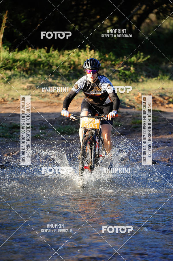 Buy your photos of the eventWolf Series - Botucatu on Fotop