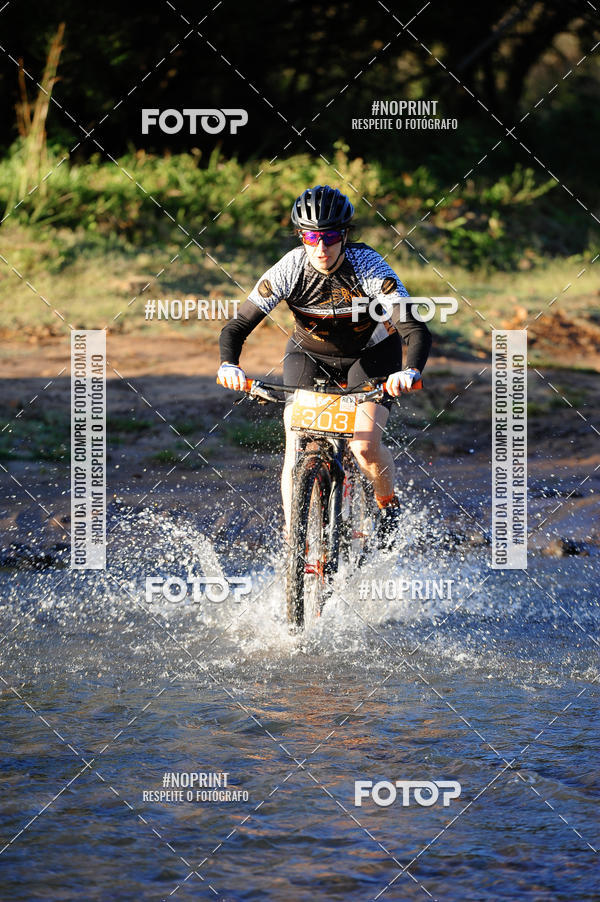 Buy your photos of the eventWolf Series - Botucatu on Fotop