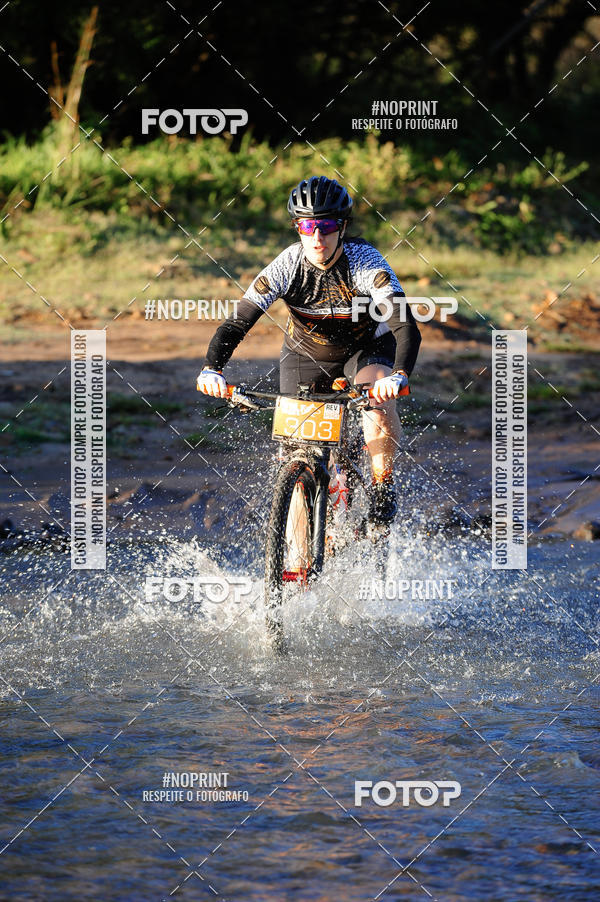 Buy your photos of the eventWolf Series - Botucatu on Fotop