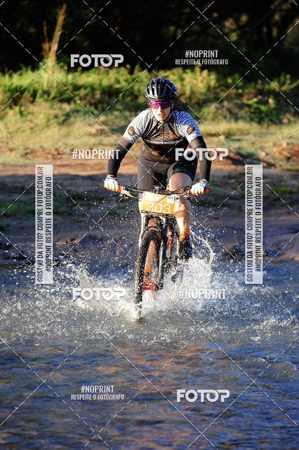 Buy your photos of the eventWolf Series - Botucatu on Fotop