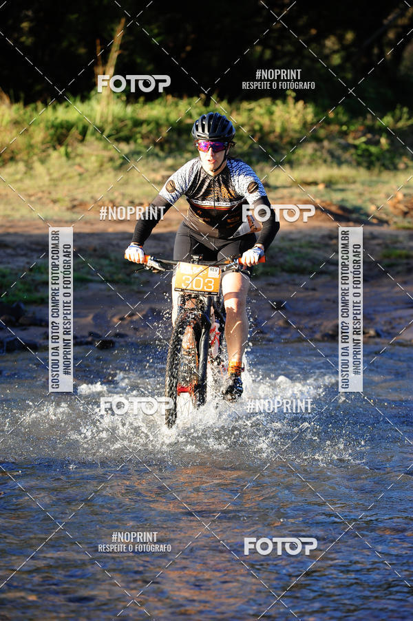 Buy your photos of the eventWolf Series - Botucatu on Fotop