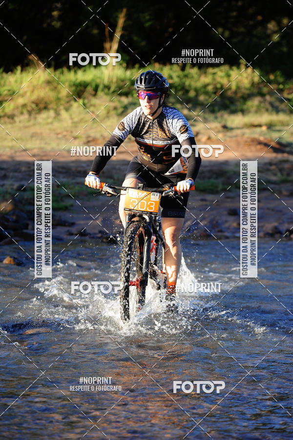 Buy your photos of the eventWolf Series - Botucatu on Fotop