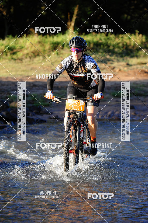 Buy your photos of the eventWolf Series - Botucatu on Fotop