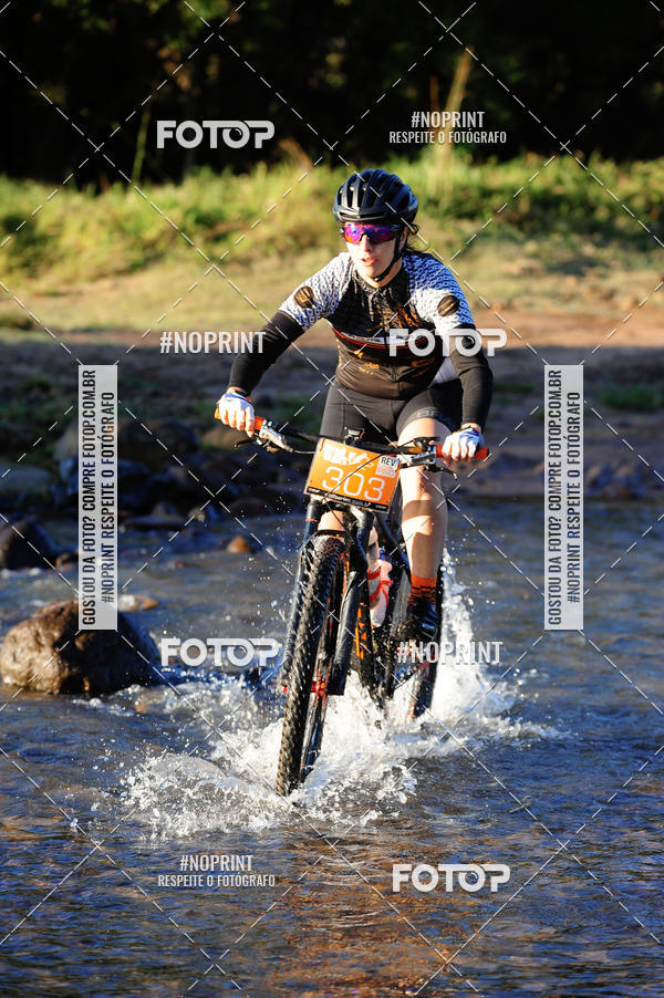 Buy your photos of the eventWolf Series - Botucatu on Fotop