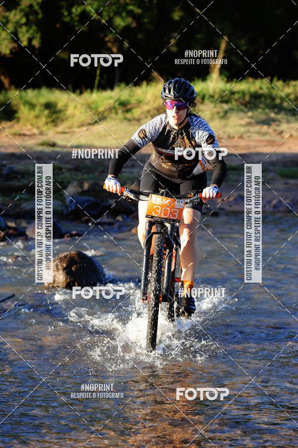 Buy your photos of the eventWolf Series - Botucatu on Fotop