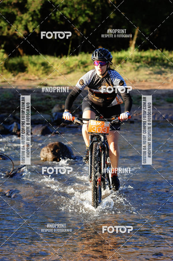 Buy your photos of the eventWolf Series - Botucatu on Fotop