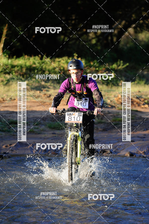 Buy your photos of the eventWolf Series - Botucatu on Fotop