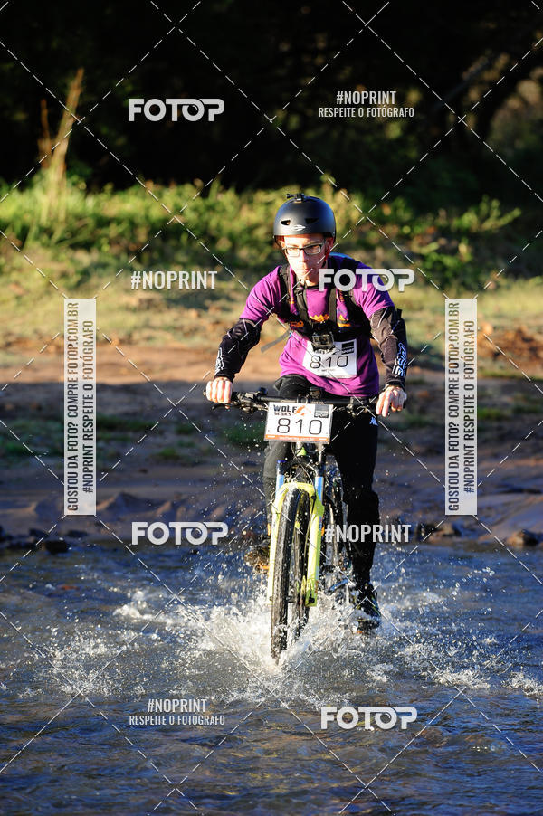 Buy your photos of the eventWolf Series - Botucatu on Fotop