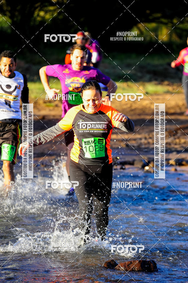 Achetez vos photos de l'vnementWolf Series - Botucatu sur Fotop