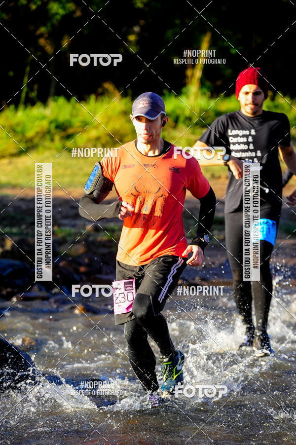 Achetez vos photos de l'vnementWolf Series - Botucatu sur Fotop