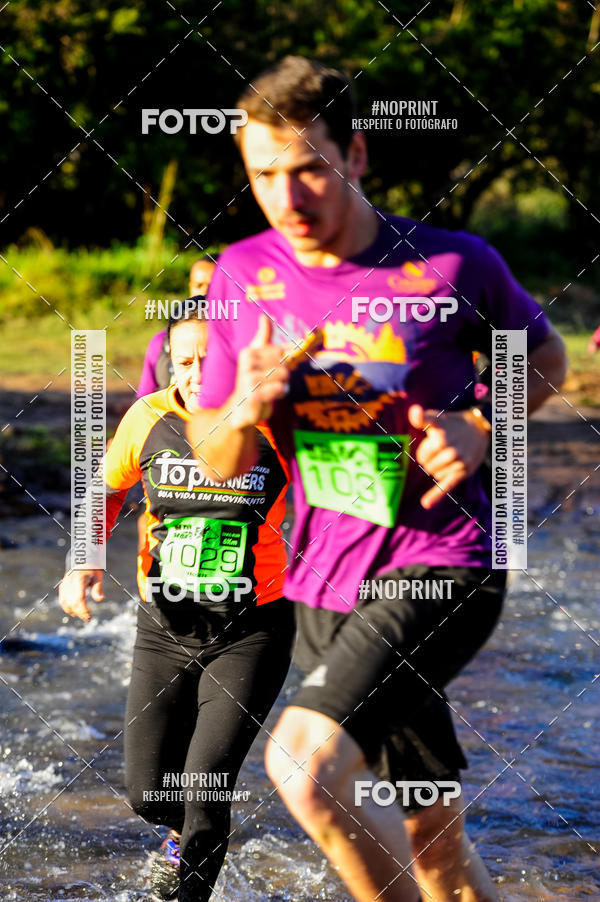 Achetez vos photos de l'vnementWolf Series - Botucatu sur Fotop