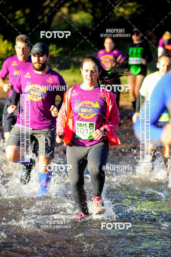 Achetez vos photos de l'vnementWolf Series - Botucatu sur Fotop