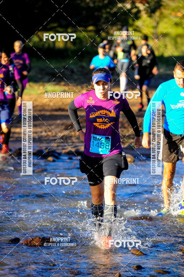 Achetez vos photos de l'vnementWolf Series - Botucatu sur Fotop