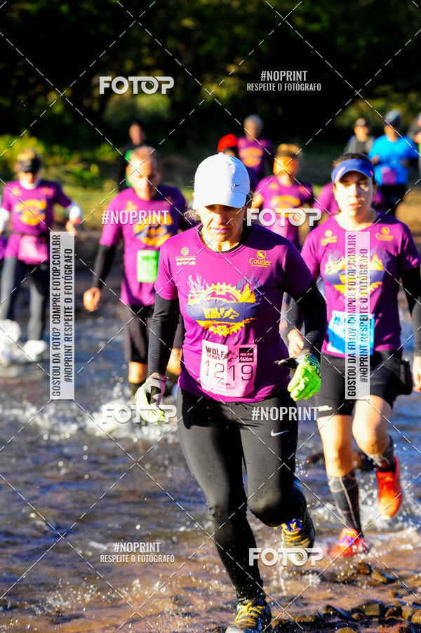 Buy your photos of the eventWolf Series - Botucatu on Fotop