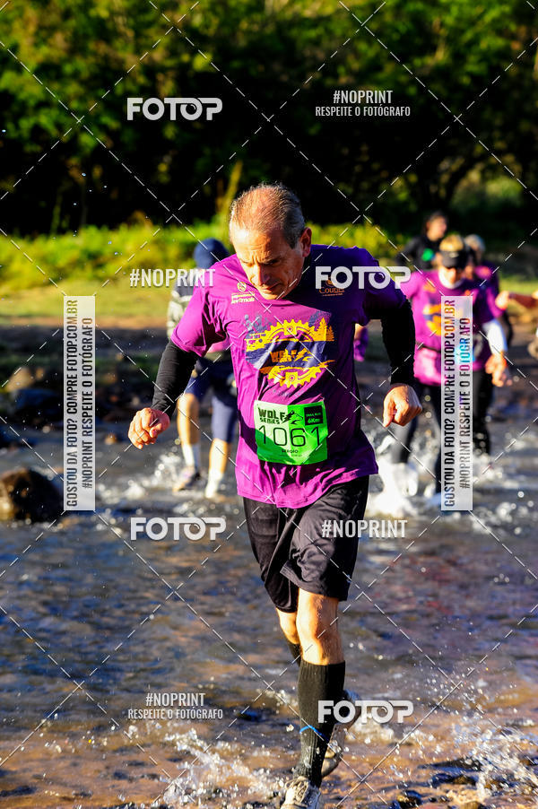 Buy your photos of the eventWolf Series - Botucatu on Fotop