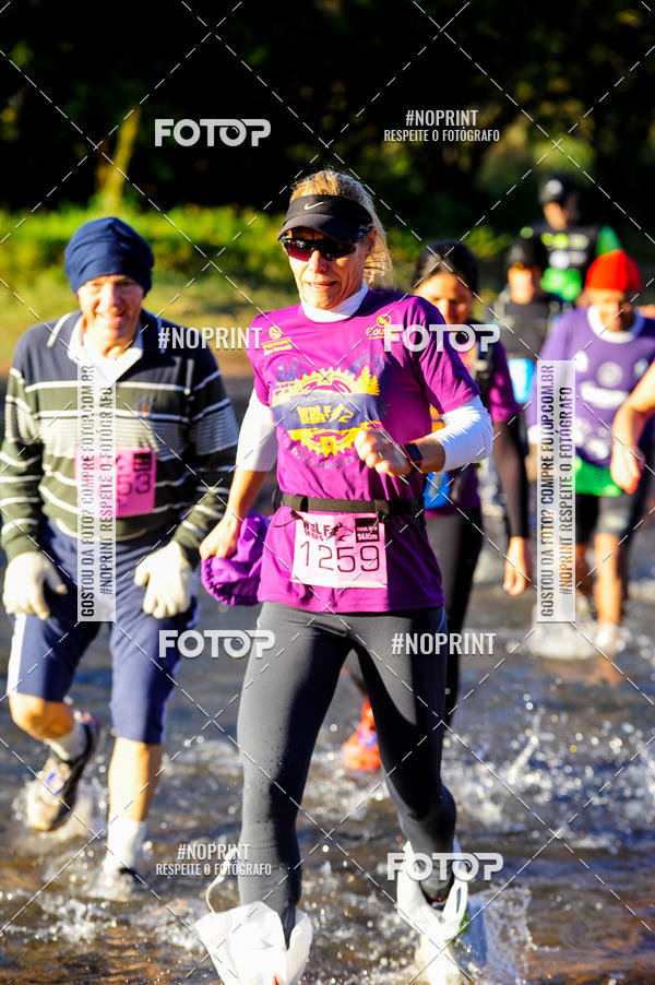 Buy your photos of the eventWolf Series - Botucatu on Fotop