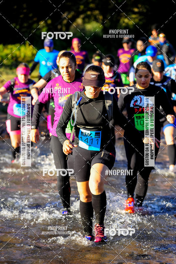 Buy your photos of the eventWolf Series - Botucatu on Fotop