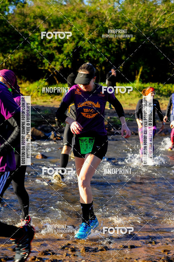 Buy your photos of the eventWolf Series - Botucatu on Fotop