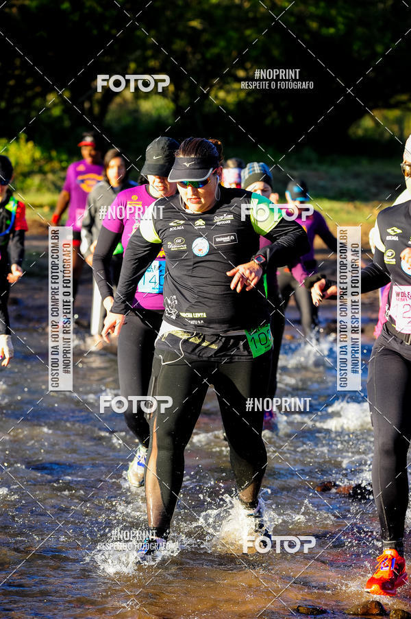 Buy your photos of the eventWolf Series - Botucatu on Fotop