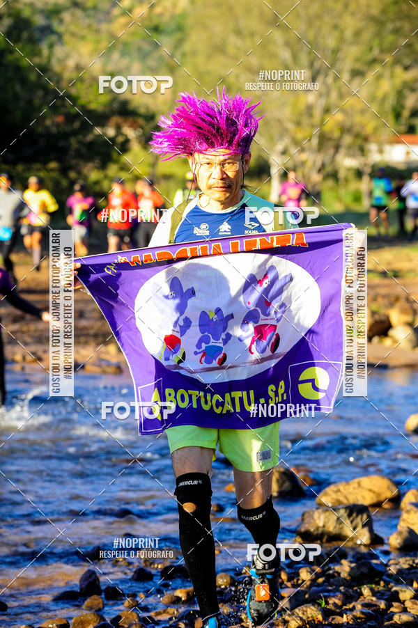 Buy your photos of the eventWolf Series - Botucatu on Fotop