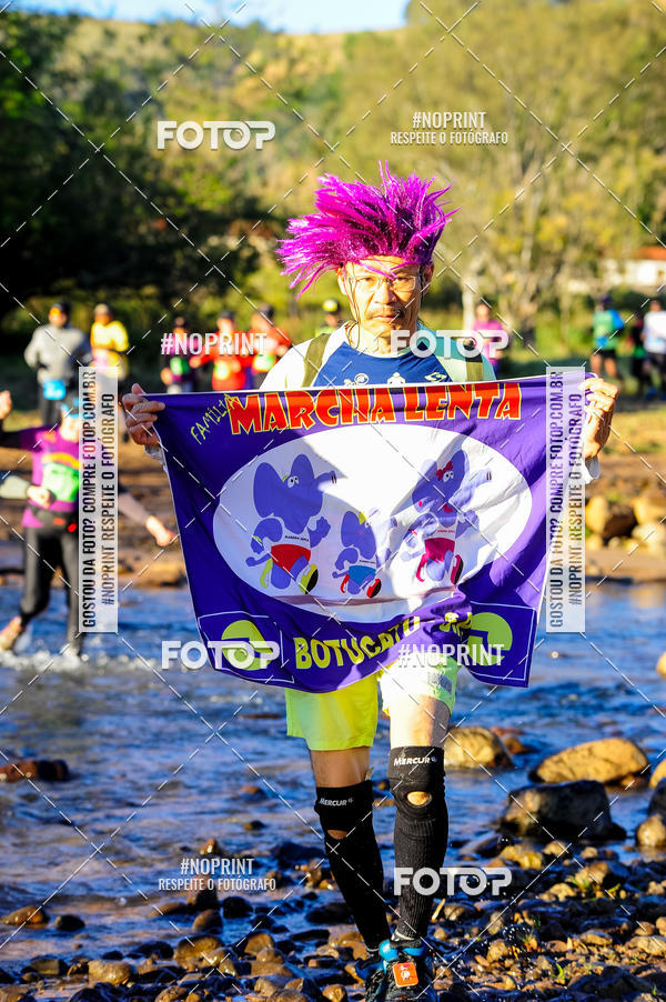 Buy your photos of the eventWolf Series - Botucatu on Fotop