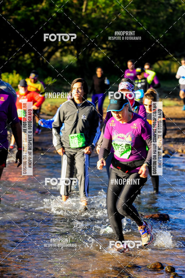 Buy your photos of the eventWolf Series - Botucatu on Fotop