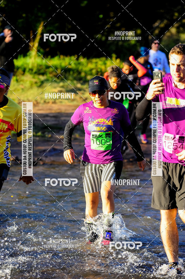 Buy your photos of the eventWolf Series - Botucatu on Fotop