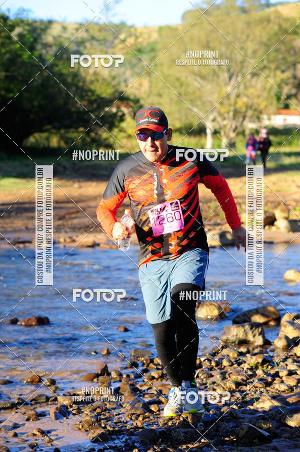 Buy your photos of the eventWolf Series - Botucatu on Fotop