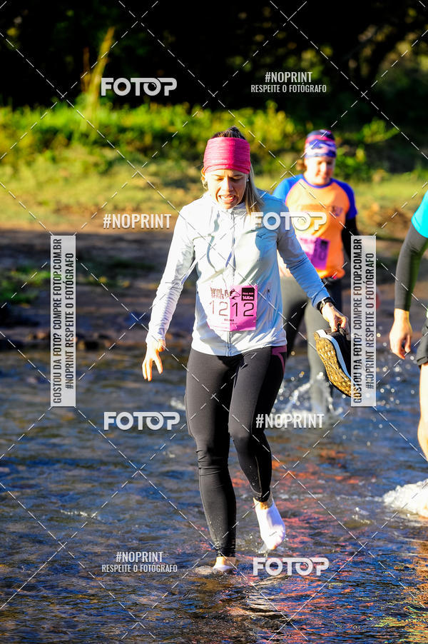 Buy your photos of the eventWolf Series - Botucatu on Fotop