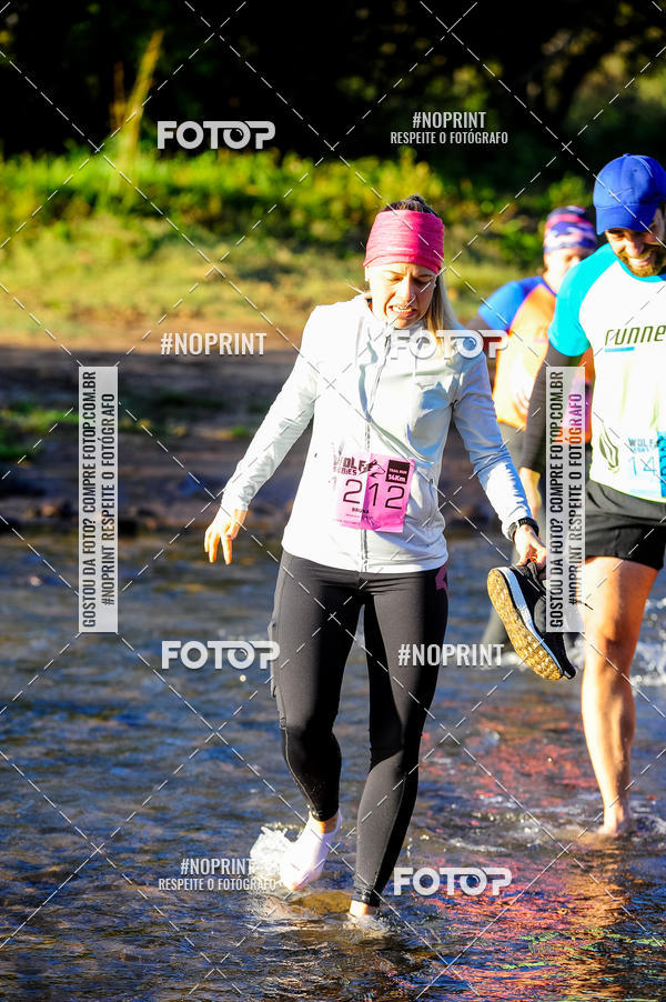 Buy your photos of the eventWolf Series - Botucatu on Fotop