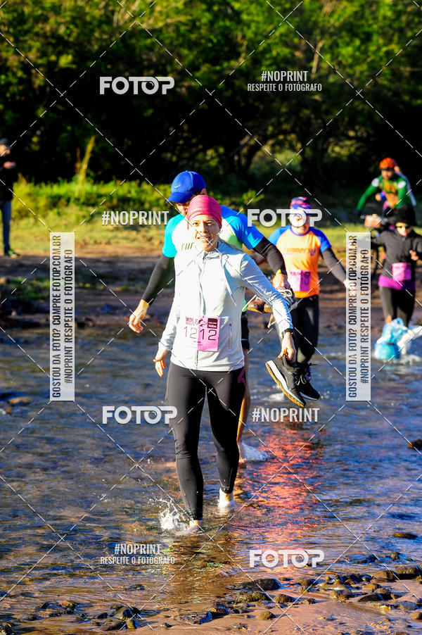 Buy your photos of the eventWolf Series - Botucatu on Fotop