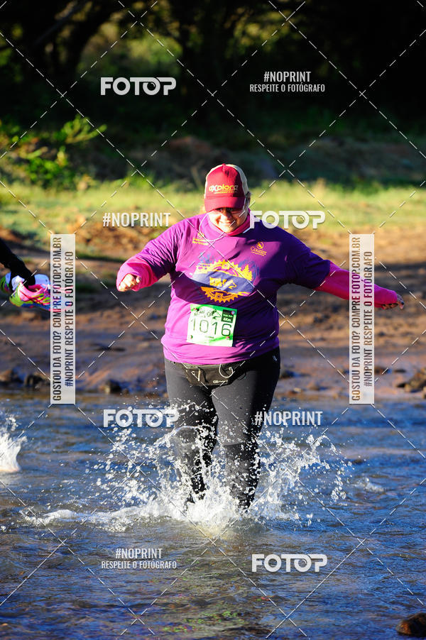 Buy your photos of the eventWolf Series - Botucatu on Fotop