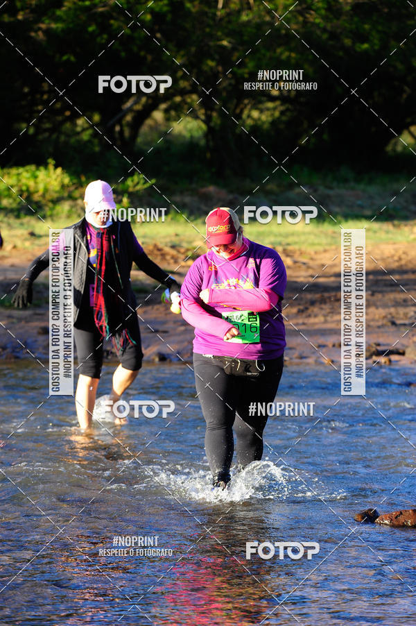 Buy your photos of the eventWolf Series - Botucatu on Fotop