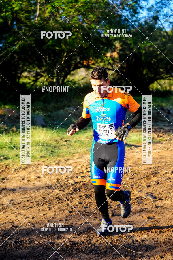 Buy your photos of the eventWolf Series - Botucatu on Fotop