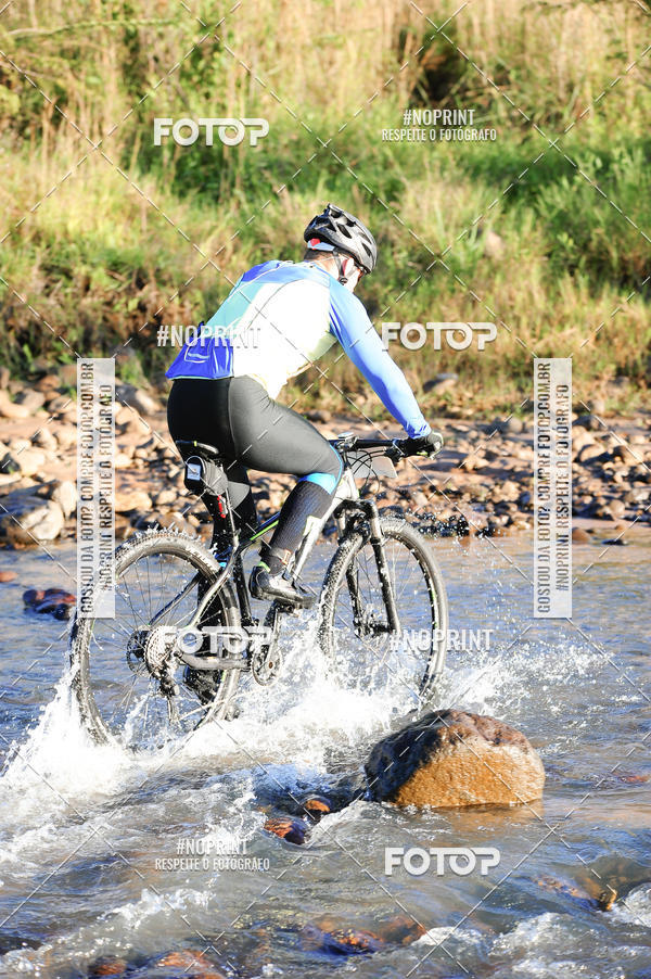 Buy your photos of the eventWolf Series - Botucatu on Fotop