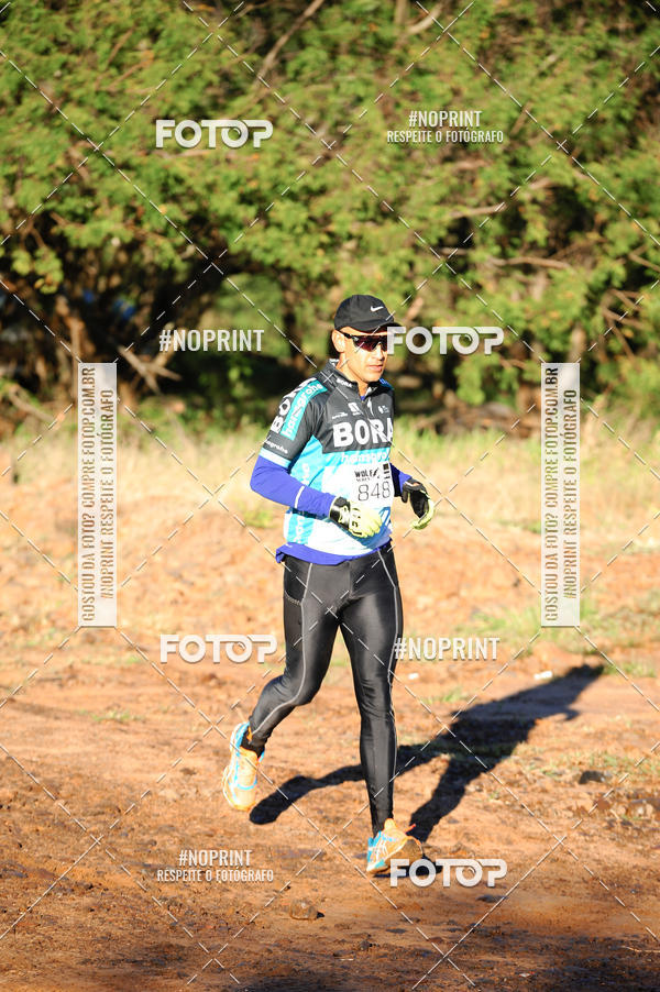 Buy your photos of the eventWolf Series - Botucatu on Fotop