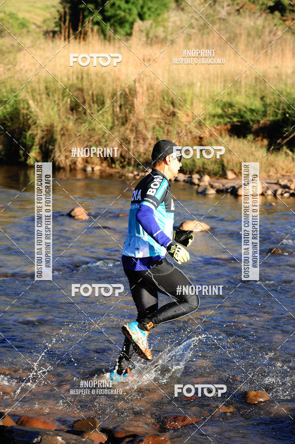 Buy your photos of the eventWolf Series - Botucatu on Fotop