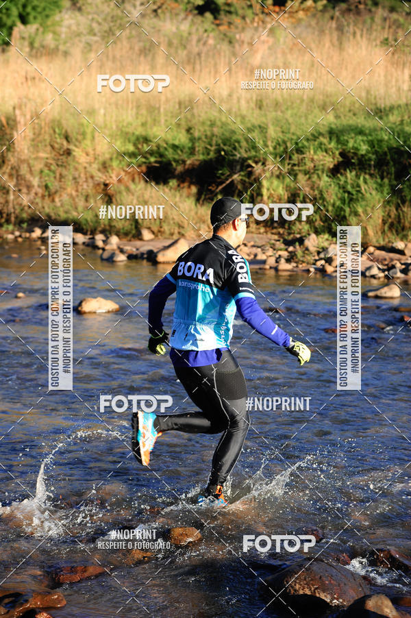 Buy your photos of the eventWolf Series - Botucatu on Fotop