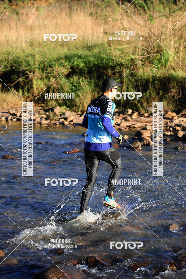 Buy your photos of the eventWolf Series - Botucatu on Fotop