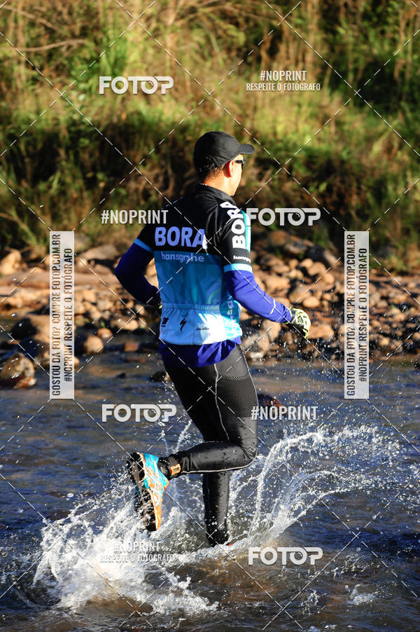 Buy your photos of the eventWolf Series - Botucatu on Fotop