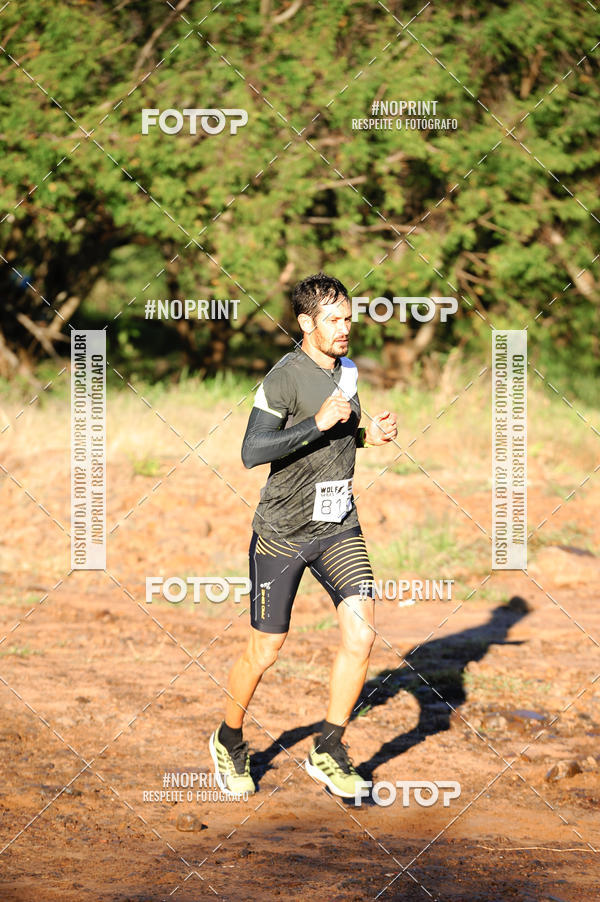 Buy your photos of the eventWolf Series - Botucatu on Fotop