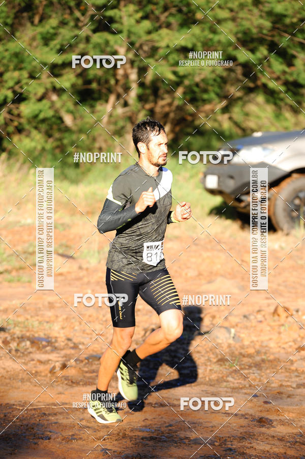 Buy your photos of the eventWolf Series - Botucatu on Fotop